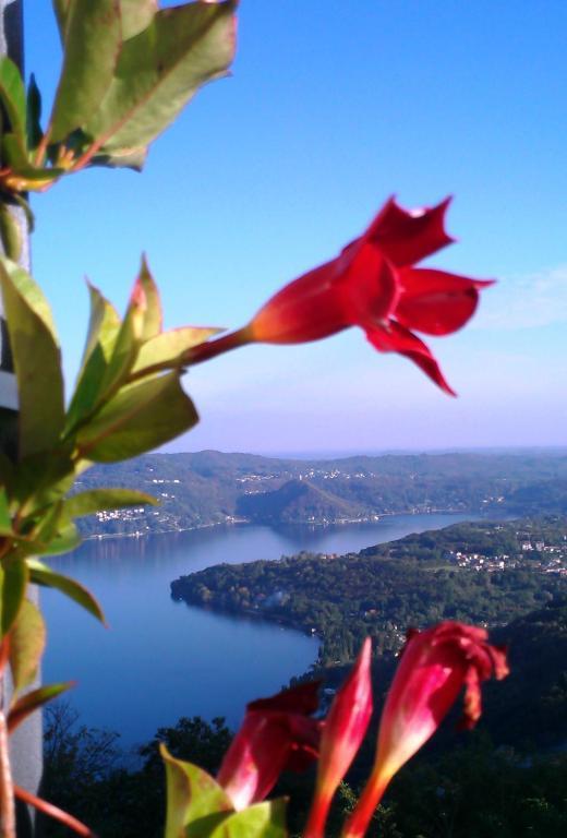Hotel Panoramico Lago D'Orta (Adults Only) Madonna Del Sasso Εξωτερικό φωτογραφία